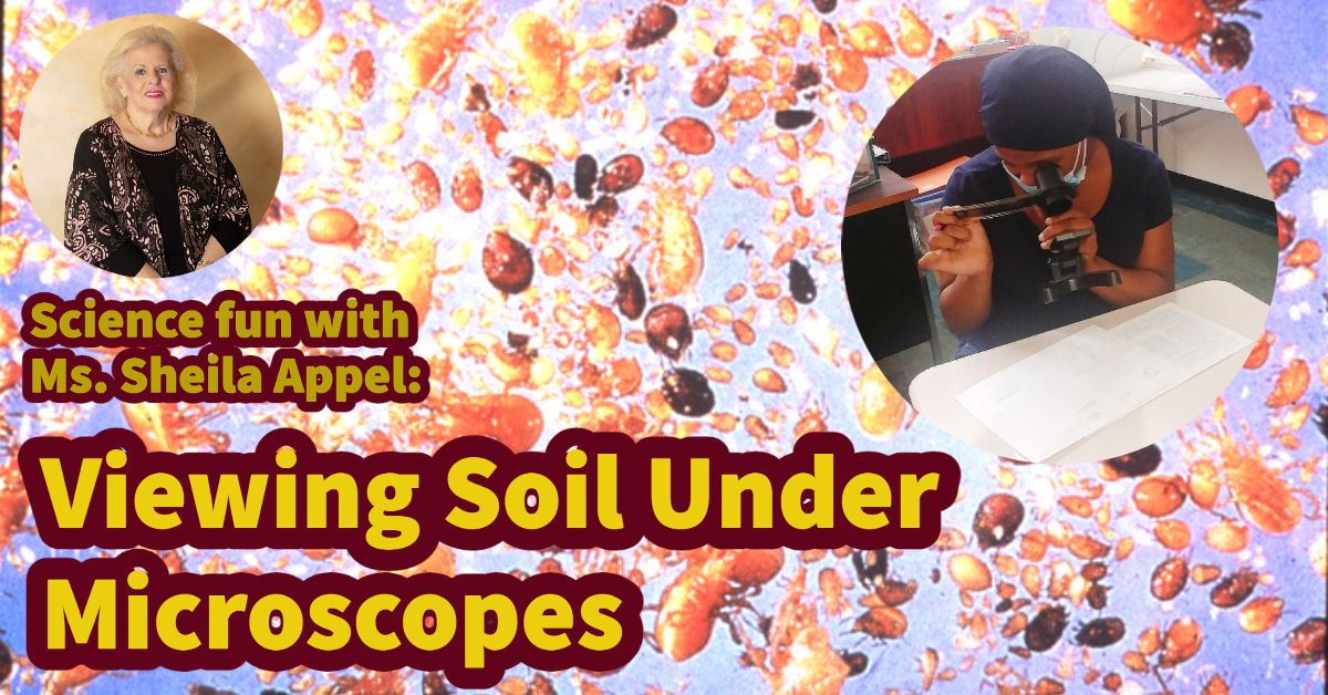 Viewing Soil Under Microscopes MileStone 01-13-22