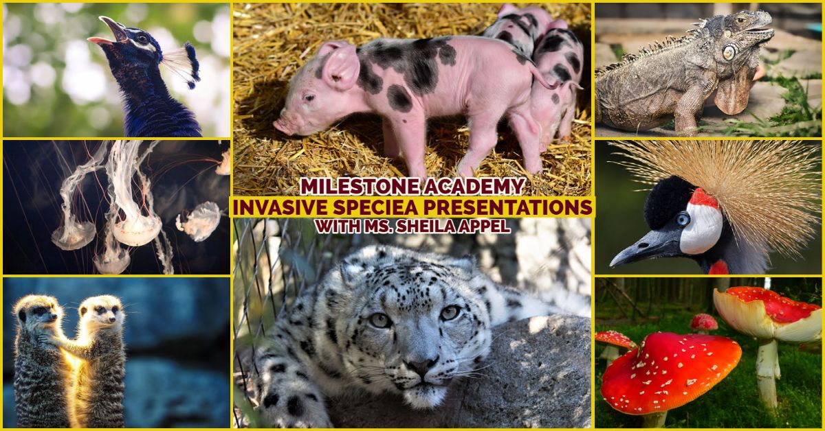 Invasive speciea Presentations with Ms. Sheila Appel 10-09-21