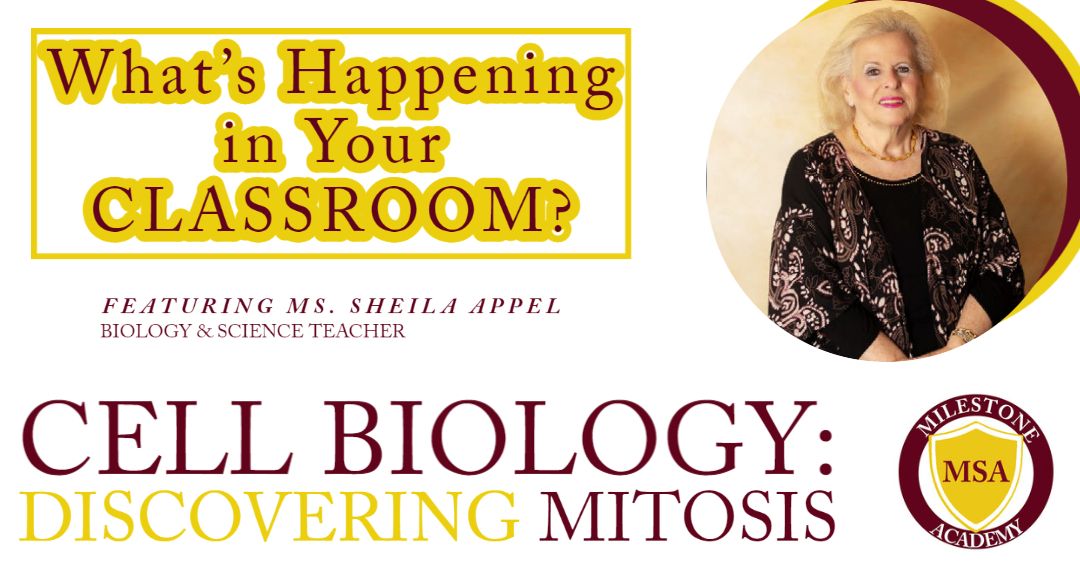 Discovering Mitosis with Ms Appel