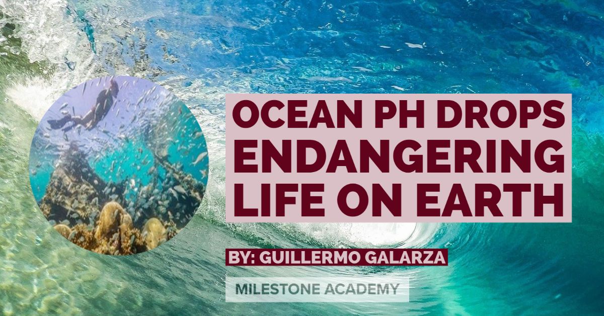Ocean pH Drops Endangering Life On Earth (1)